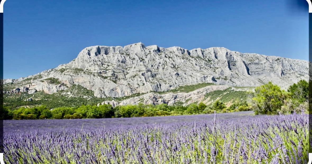 Joli Studio Le Clos D'Aix Avec Grande Terrasse Piscine Et Parking Gratuit Aix-en-Provence Bagian luar foto